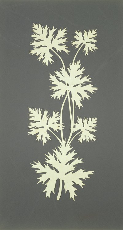 Feuilles - Philipp Otto Runge